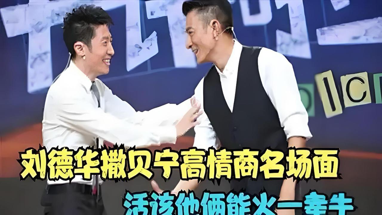 撒贝宁考刘德华的国语水平：张曼玉去关之琳家找刘嘉玲说，梁朝伟被黎明骗去张学友家偷