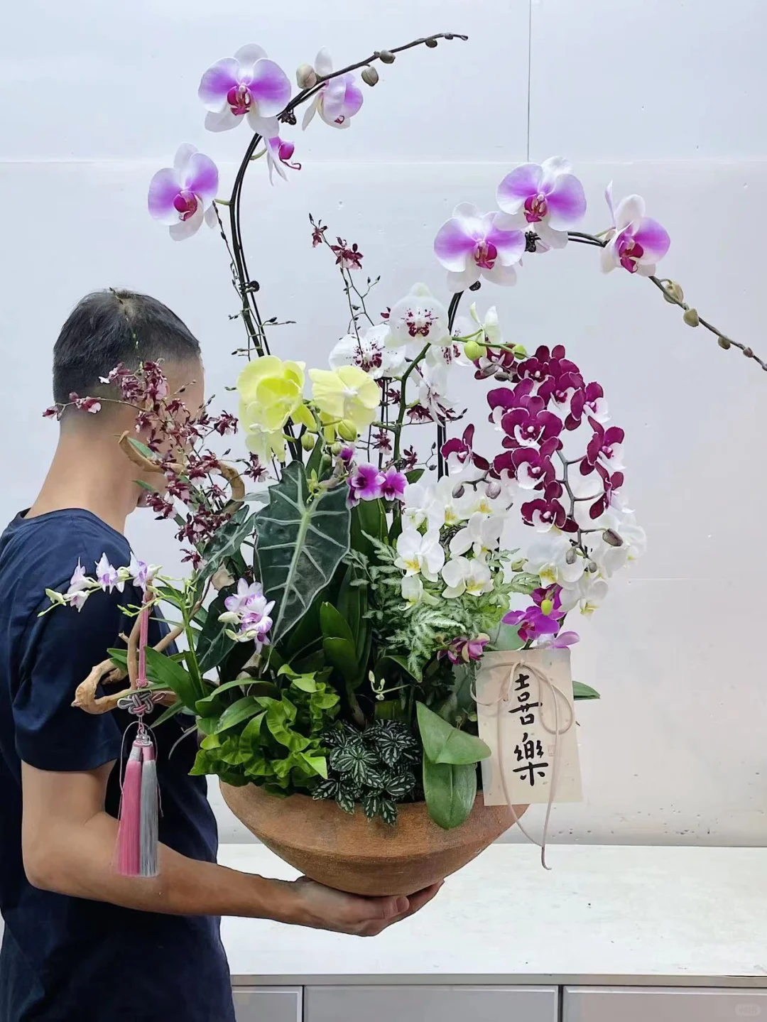 中秋主题蝴蝶兰｜繁花似锦