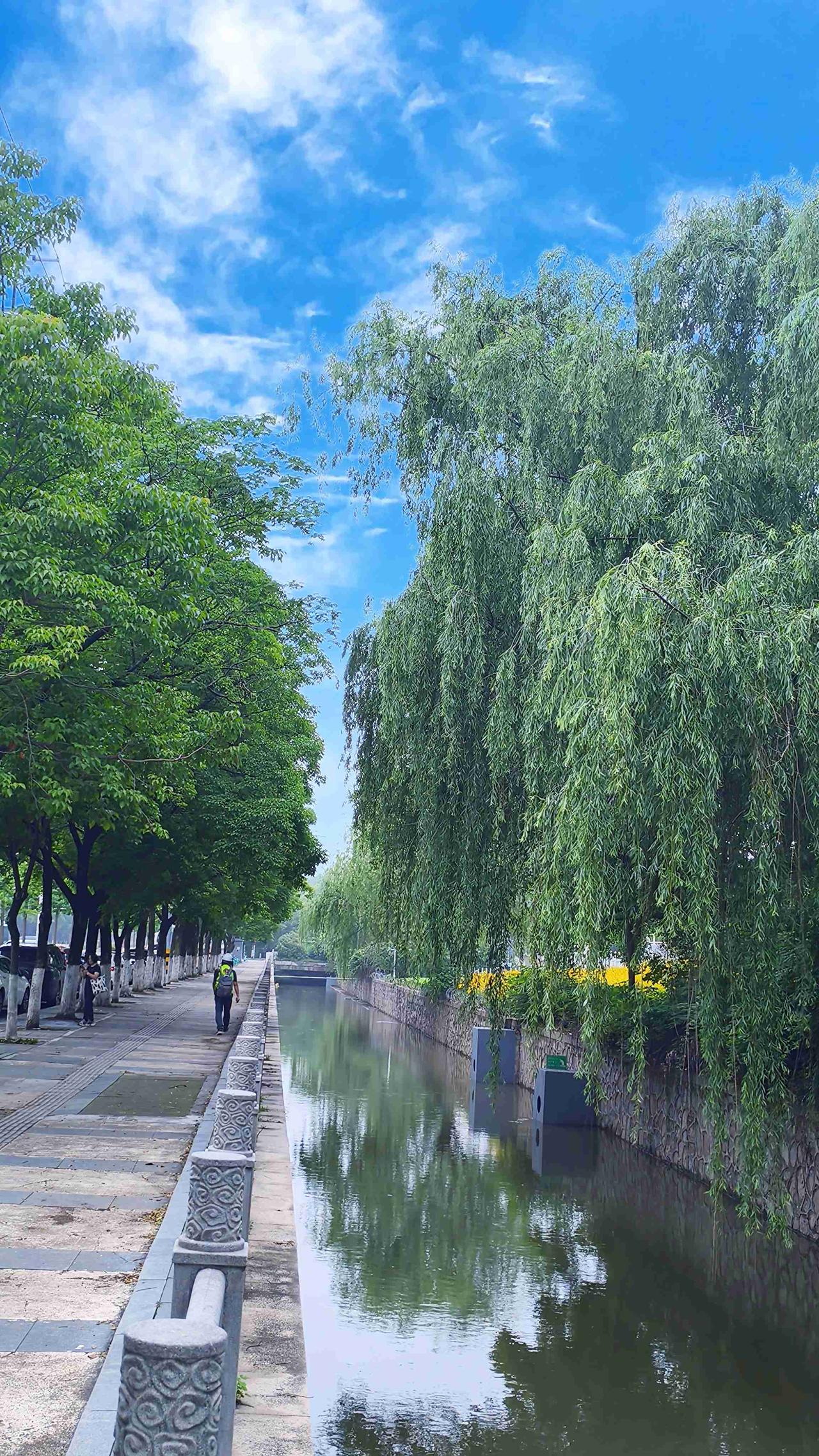 我的今日状态：😁轻松愉快
我这里的天气：☀️晴天
雨过天晴
