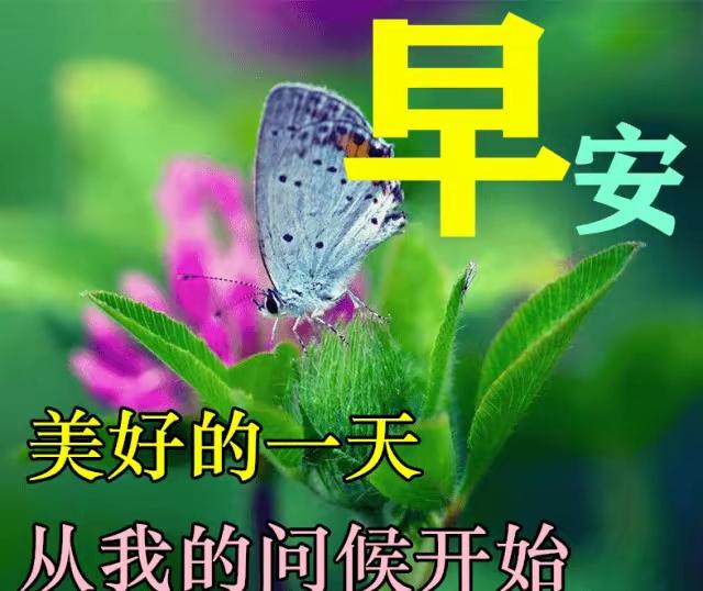 南浦诗联微信群交流录49
  今天没人写诗交流。因为要参加接龙活动。

    