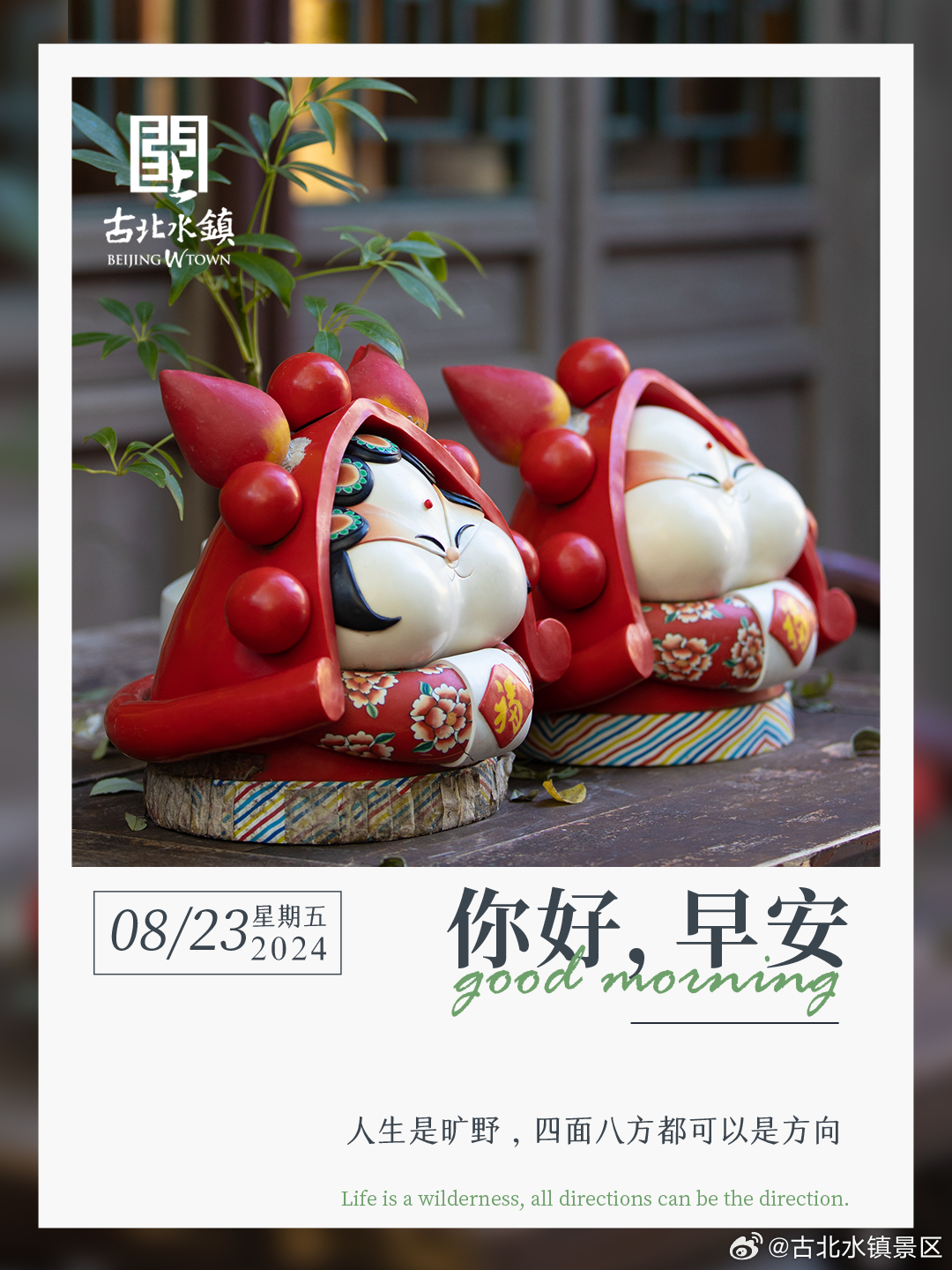 人生是旷野，四面八方都可以是方向早安，宝子们~ ​​​