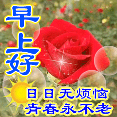 点点心意丝丝情
句句问候字字诚
天天互动心态好
健康幸福笑盈盈