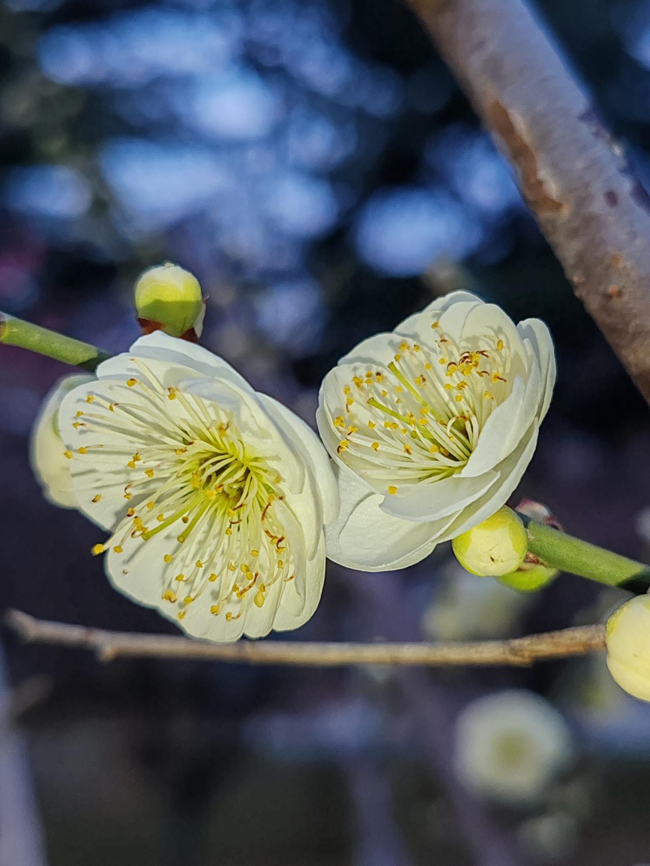 一个人活着，自然是面子重要，然而面子是靠金钱来支撑的。你身着绫罗绸缎，品尝珍羞美