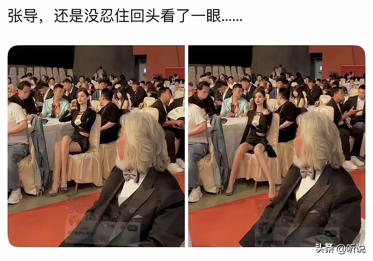 张导最近有什么作品？