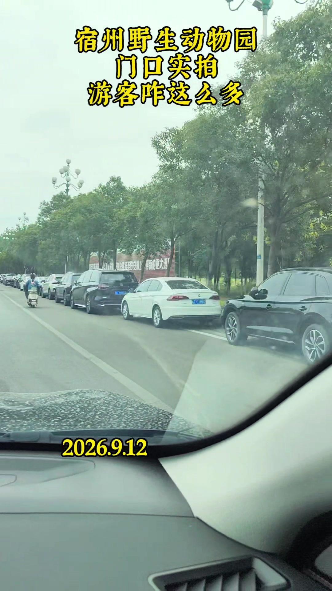 宿州野生动物园人超多？🚗刚开到附近就被车流惊到，停车场全满，路上也堵得走不动，