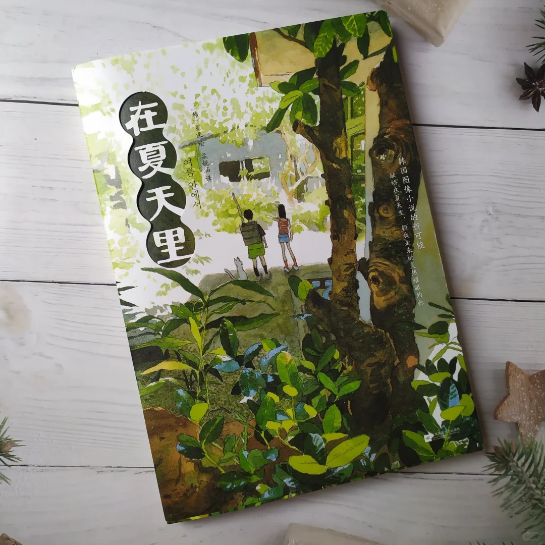 绘画挺有意境的图像小说