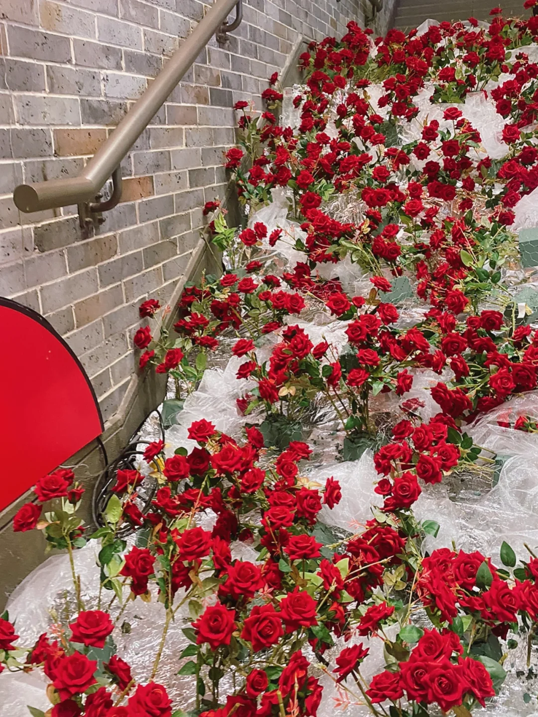 杭州七夕节日限定‼️湖滨in77网红玫瑰瀑布🌹