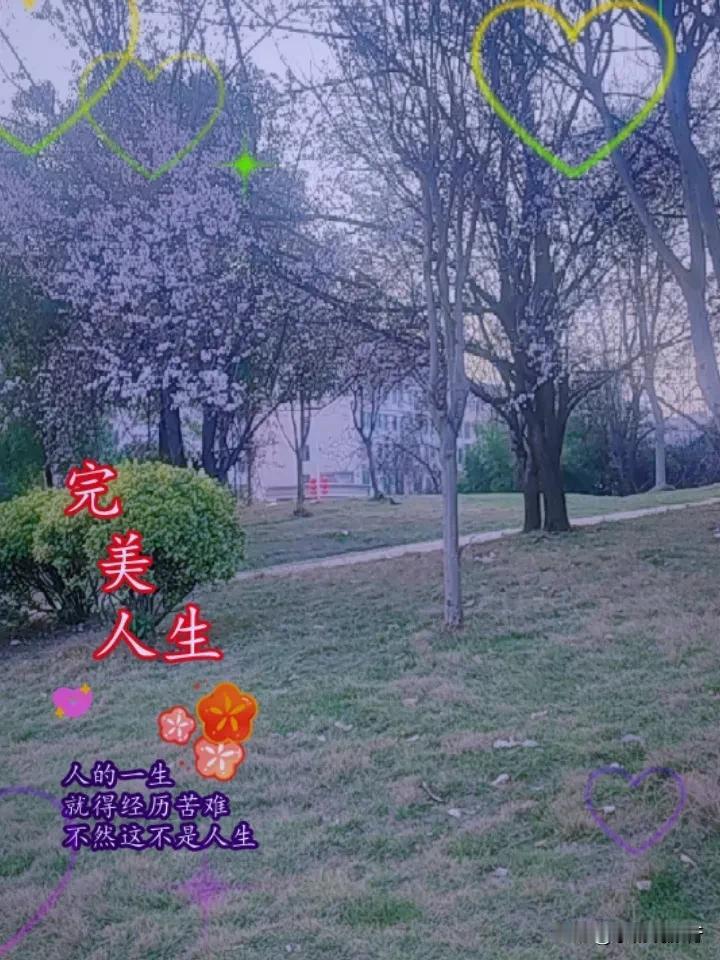 春日生活打卡季打卡一下这里的美景。