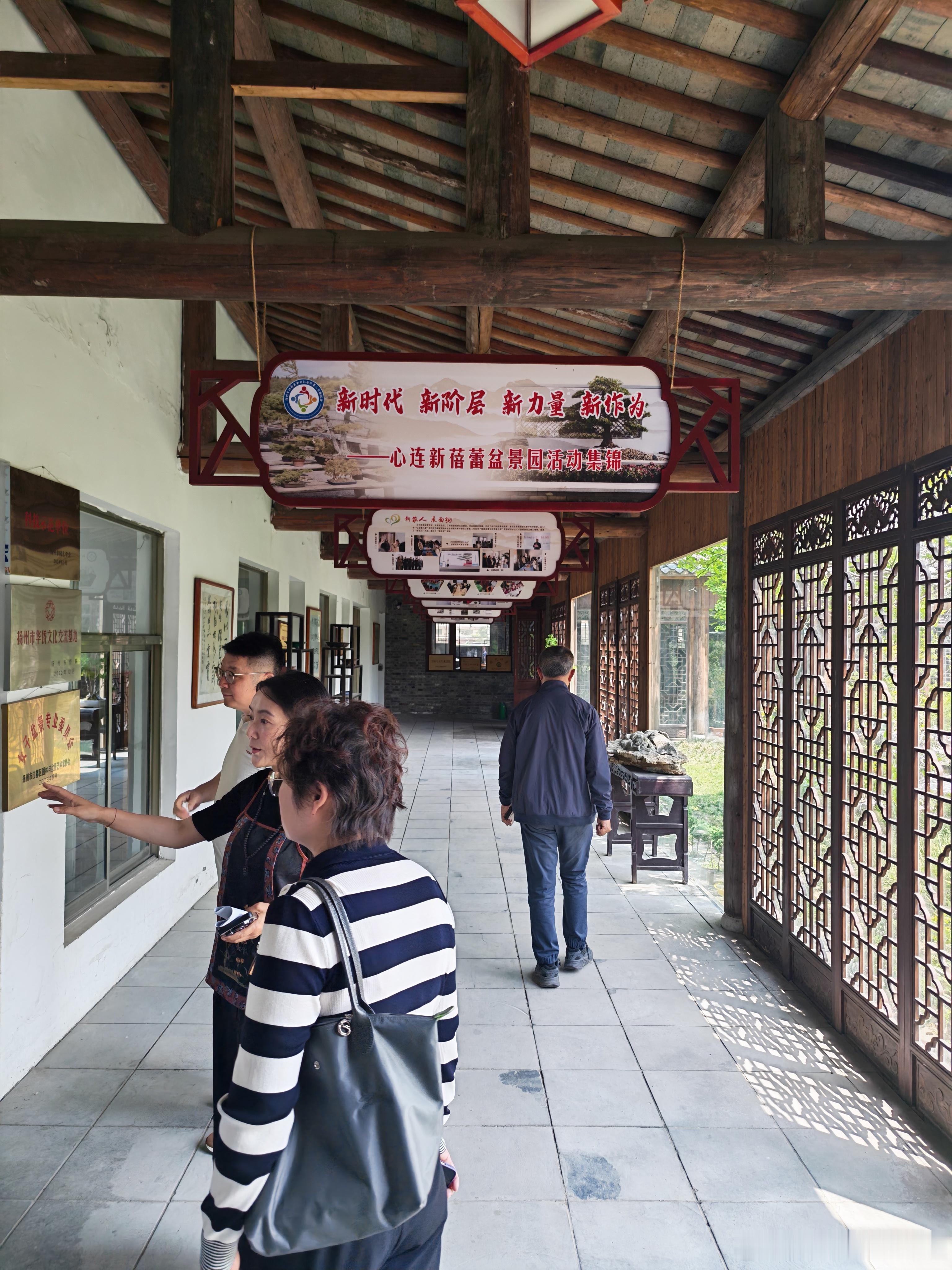 当传统非遗传承、盆景培育遇上了一帮小学生，会是什么样的一个情景？！位于江都丁伙镇
