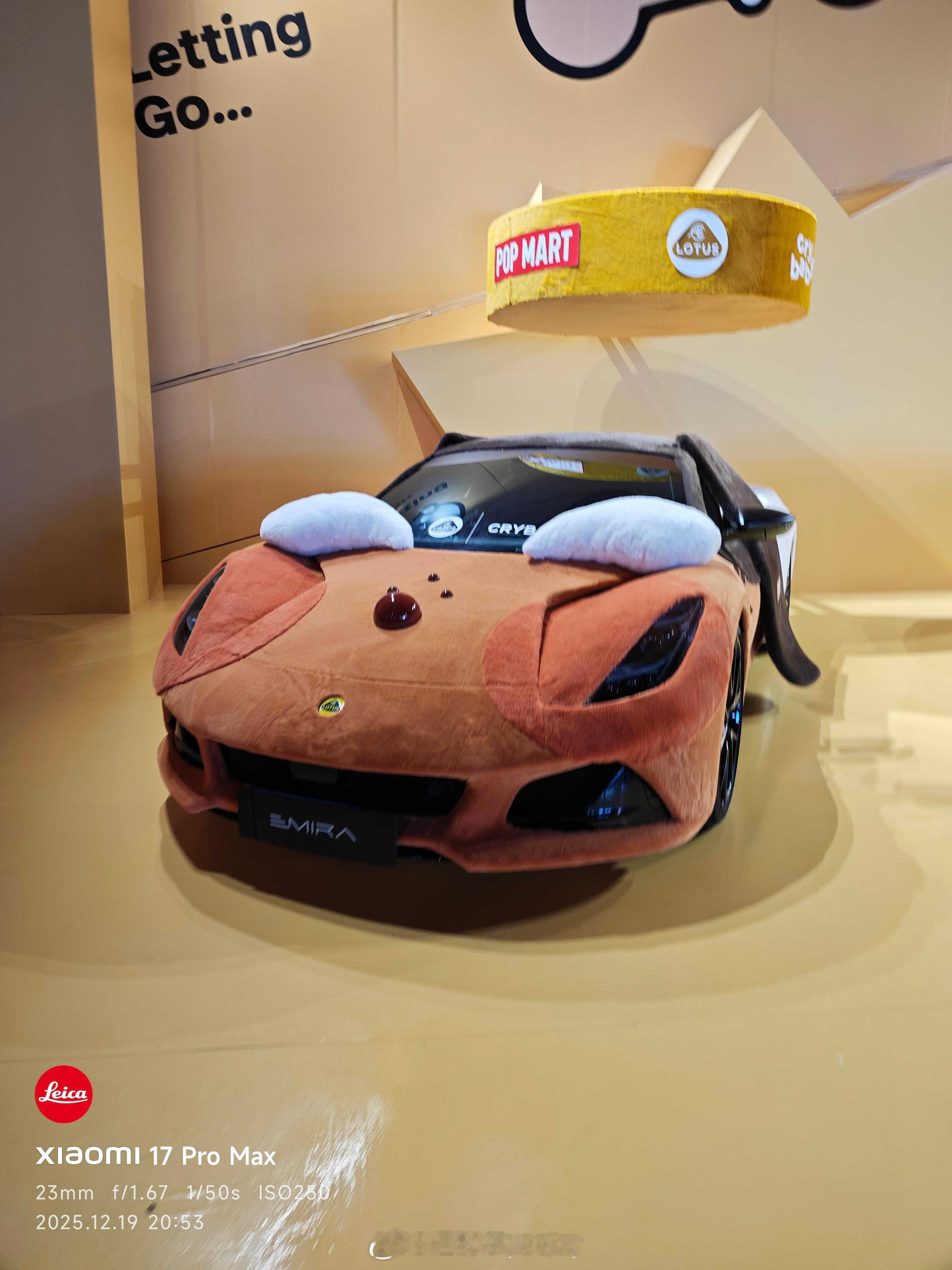 看见达哥的图片想起来库存里没发的照片。莲花和泡泡玛特的活动，就是晚上去发现要门票