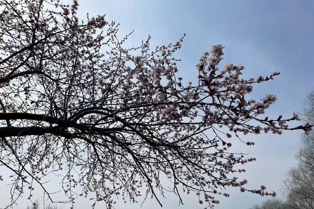 人到老年,是否进入了悲惨世界?不是，这时候更是自由，思维更加成熟，心灵更加自由！