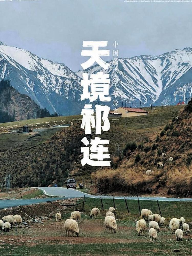青海祁连太美了，我也想去打卡。
10万游客挤进5万人的小城，祁连凭什么被全网点赞