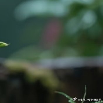 路不通就转弯，心不悦就看淡。 