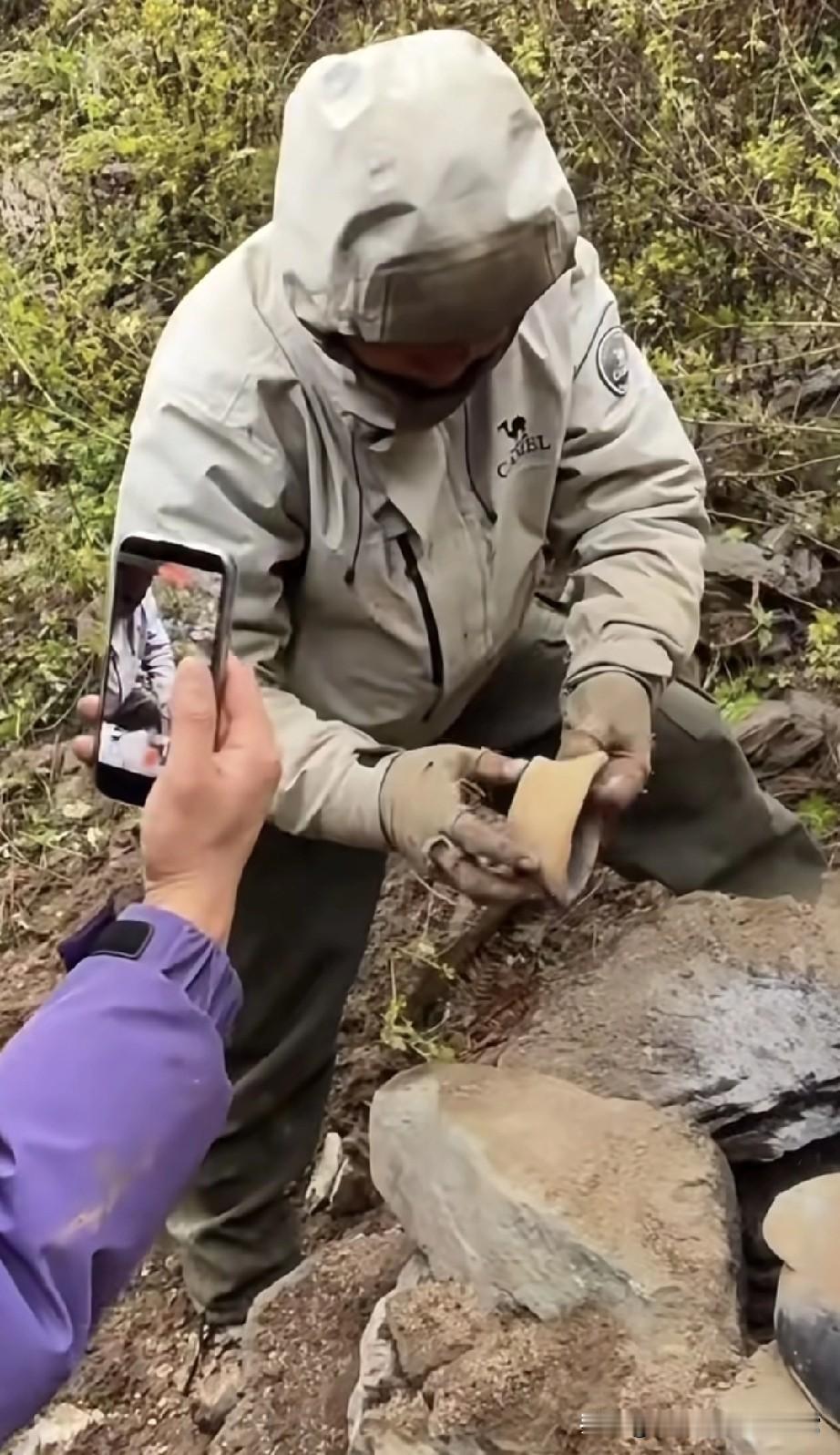 荒野求生开窑翻车？老中医这波操作把网友看懵了！
 
“老中医荒野求生开窑”这操作