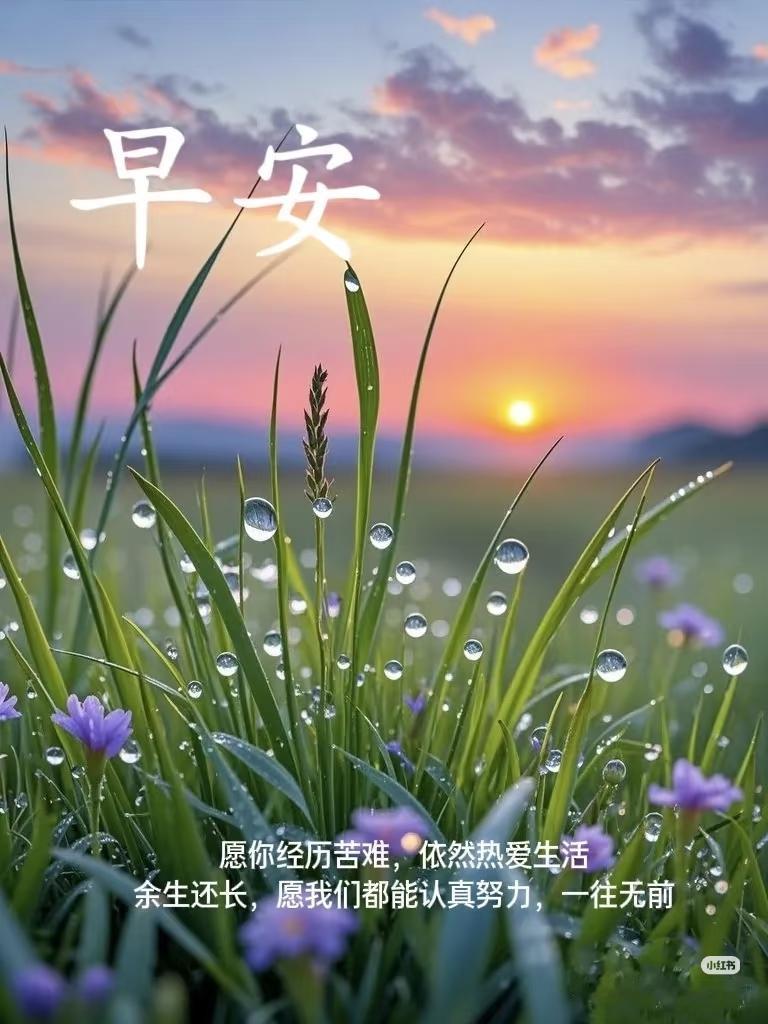 早上好，今天是8月21日星期五，女排亚锦赛今日开打，具体赛程见图二，中国女排今天