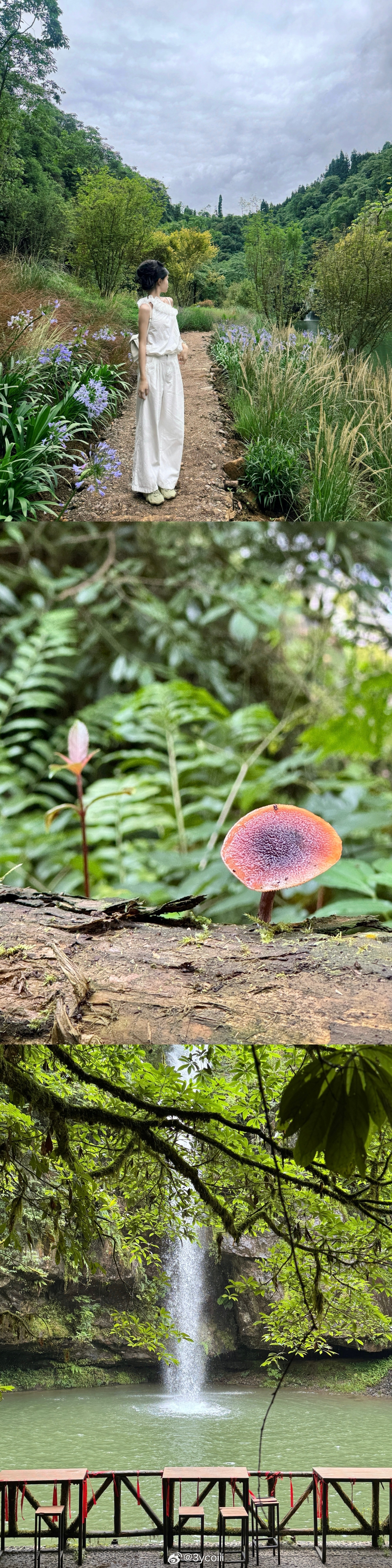 夏天的绿意落在山林间🍃  ​​​