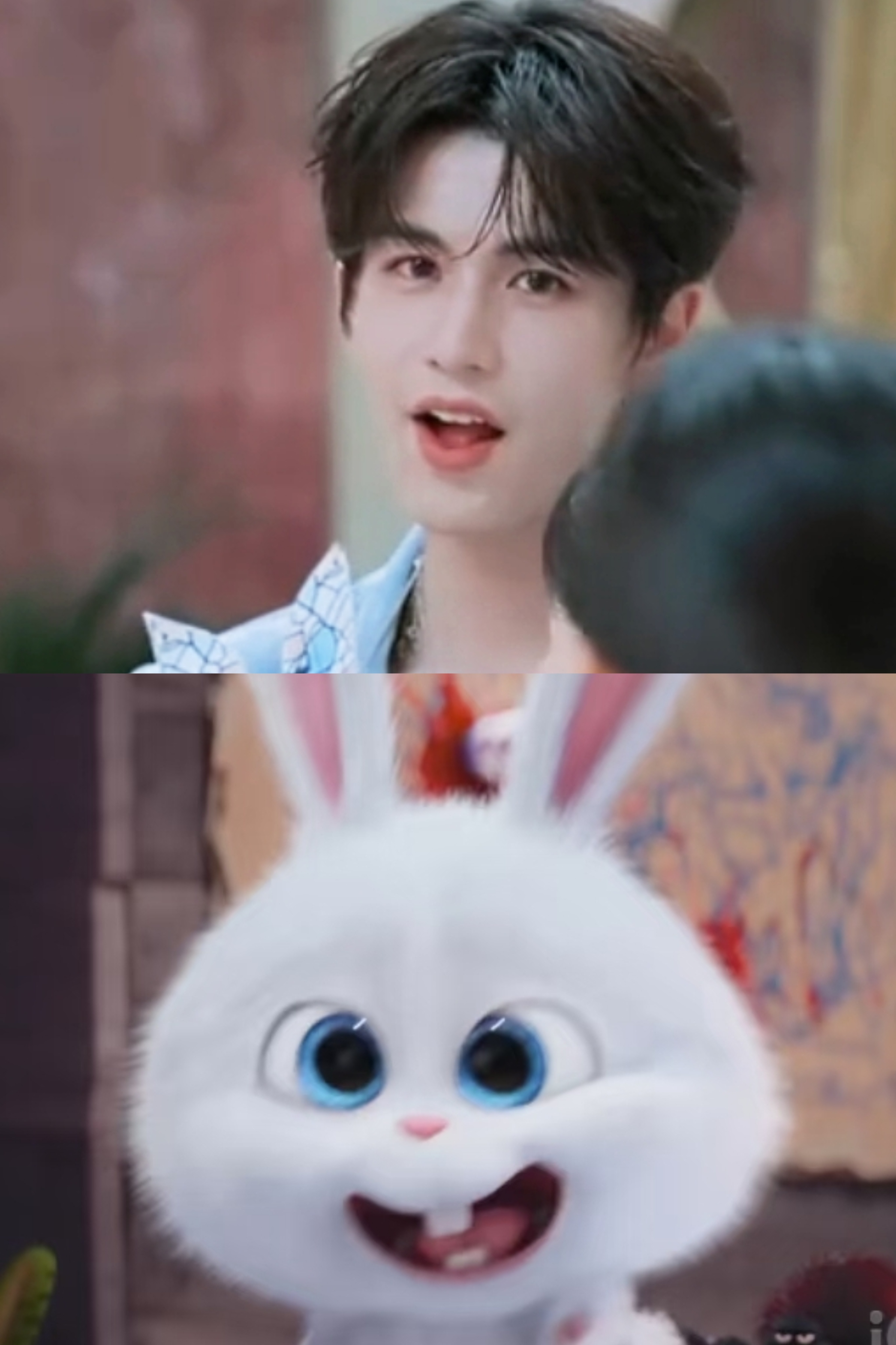 兔老大ꪔ̤̥ꪔ̤̮ꪔ̤̫  ᙏ̤̫͚  ꪔ̤̮   ꪔ̤̥   ꪔ̤̱   ꪔ͈