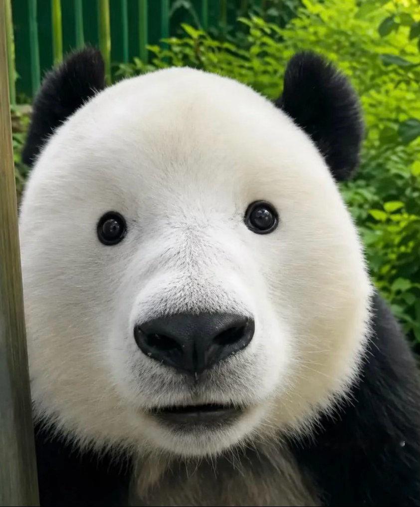 我每次点开微博be like 