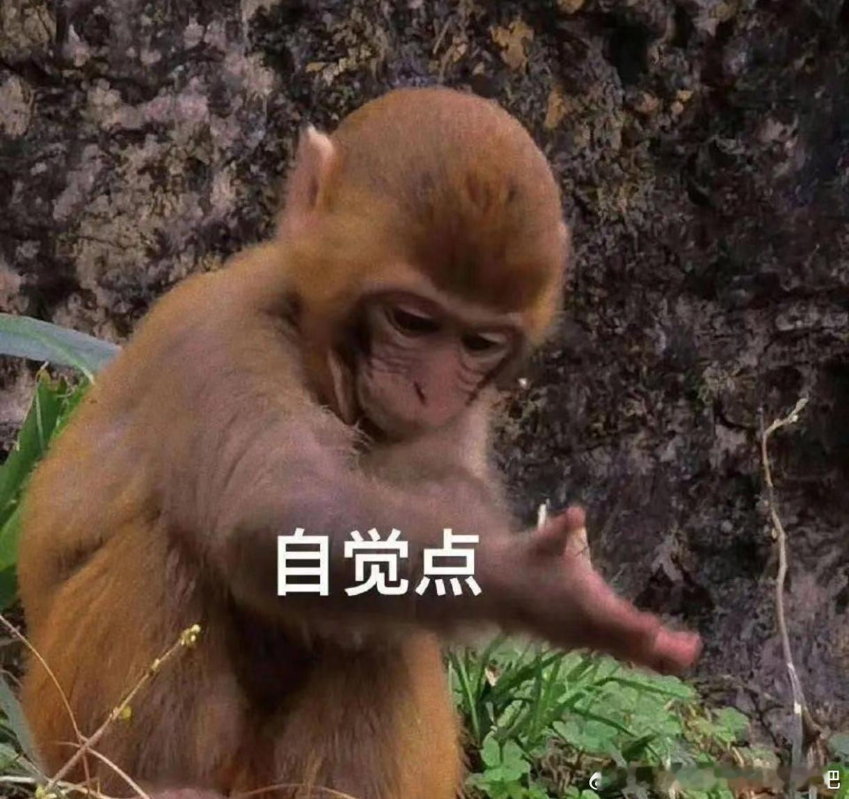 年底了，最近各家发的告嘿名单好多哦，所以咱们的呢？☺️人家发个告嘿名单都能热搜，