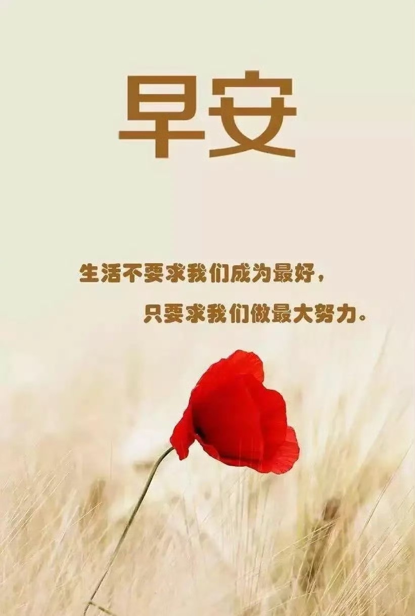 朋友们早上好！经历了调整和洗礼，市场的机会正悄悄积蓄。当前阶段，不盲目、不浮躁，