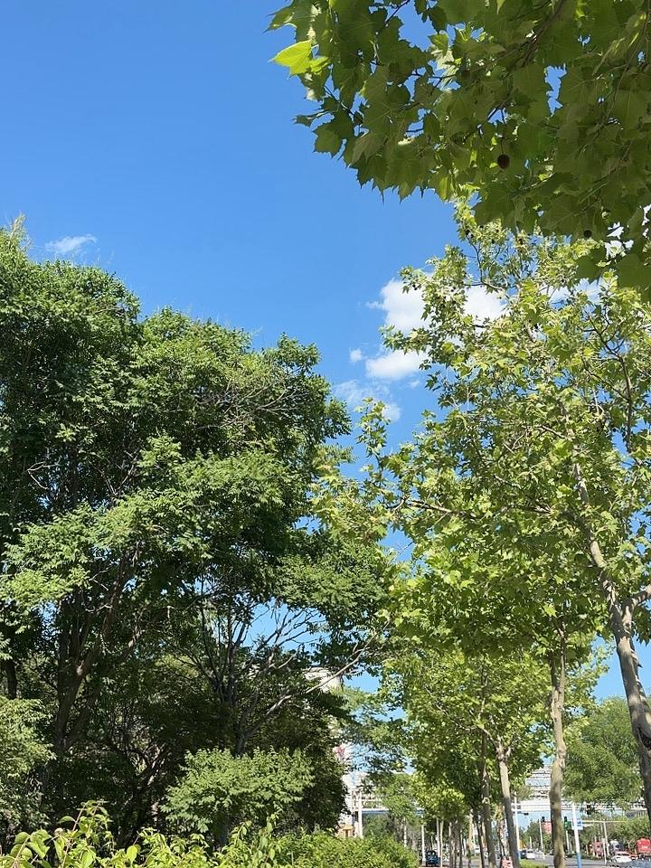 我的今日状态：😁轻松愉快
我这里的天气：☀️晴天