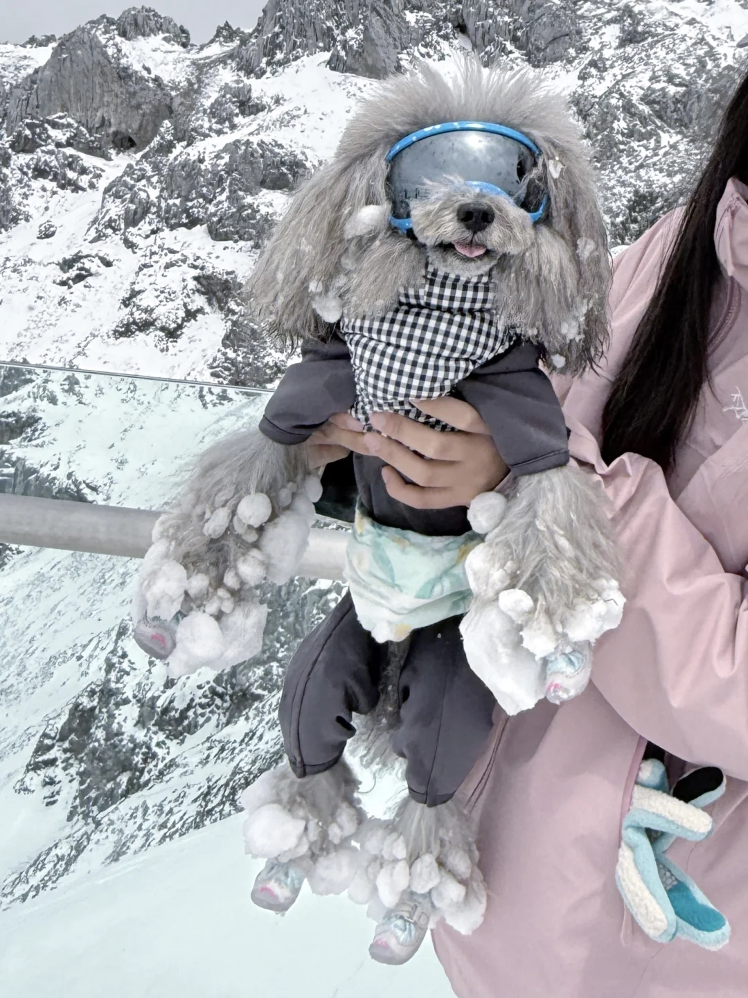 世界第一财神山