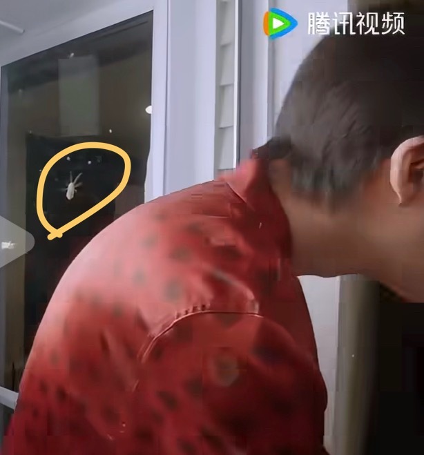 不行了，这地方我待不了，动不动这儿一只虫，那儿一只虫，门上趴个虫啊啊啊啊啊 