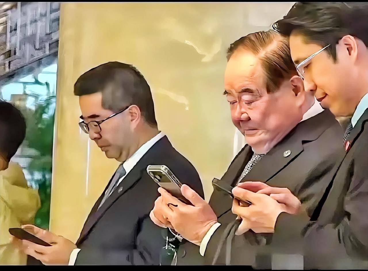 看到跟随中国国民党主席郑丽文访问大陆的萧旭岑、李乾龙、李德维这一幕，感觉和我们没