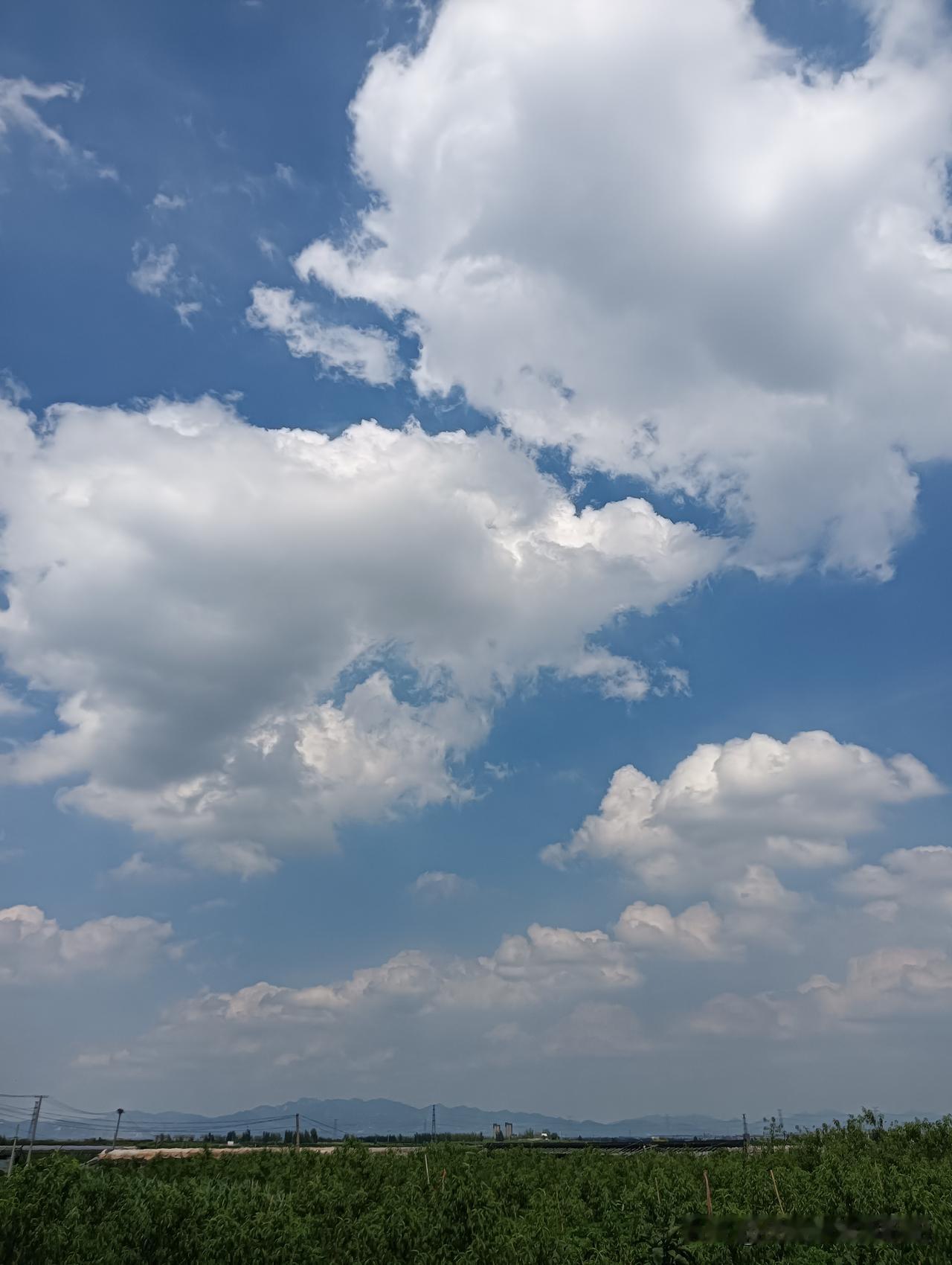 晒图笔记大赛风轻云淡，太美了吧！