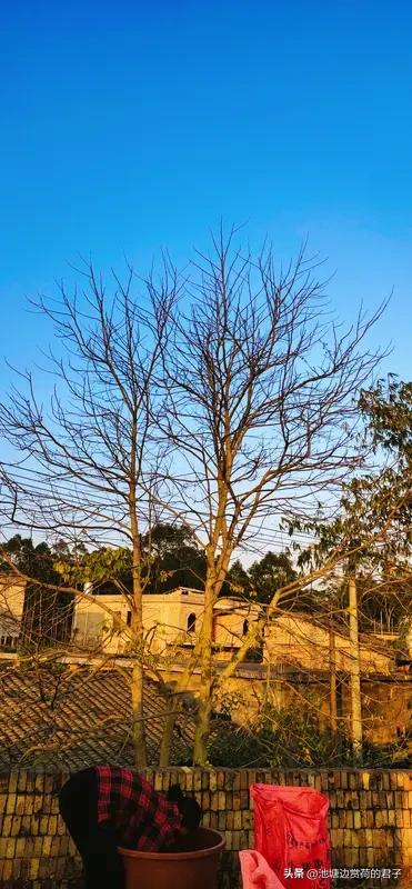 北方人不喜欢南方的冬天，原因可太多了。气候上，北方干冷，南方湿冷，那湿度大的空气