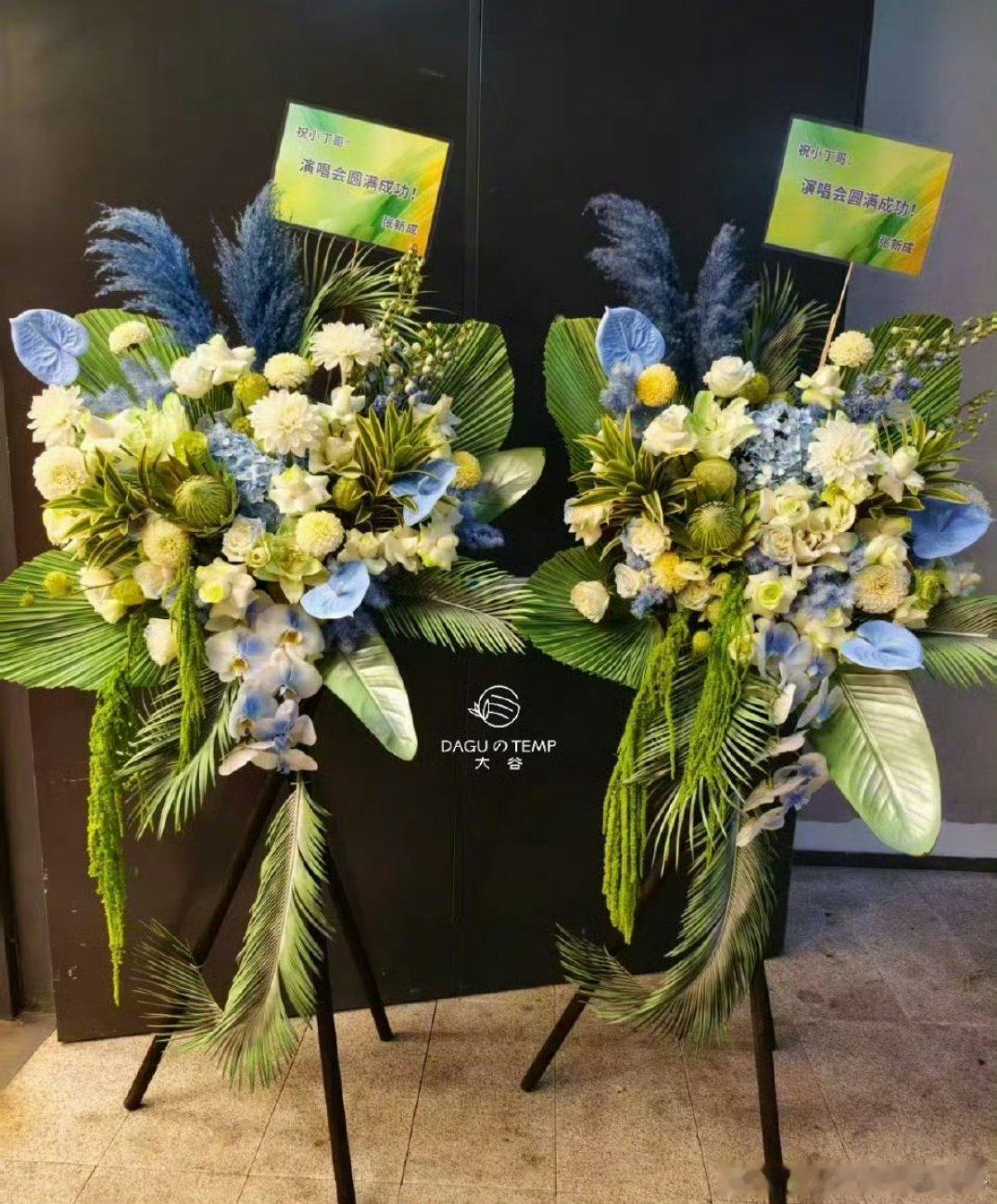 张新成给丁禹兮演唱会送花篮，南部档案还有售后🈶 