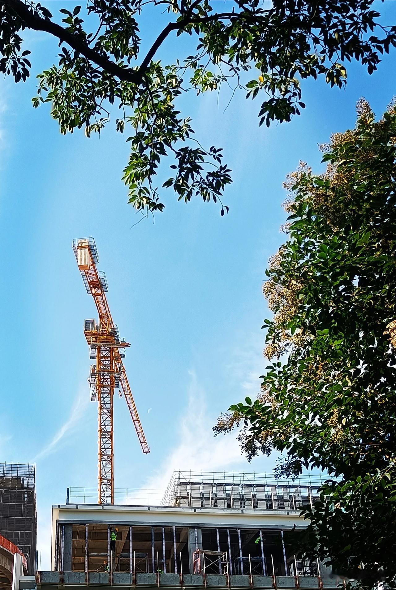 城市建设中的繁忙景象，塔吊高耸，工人辛勤工作。🏙️💪🔨