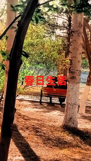 今年春日，我的心愿隐匿于这悠悠时光之中。我愿趁着晨光漫步山野，让清新空气盈满胸膛