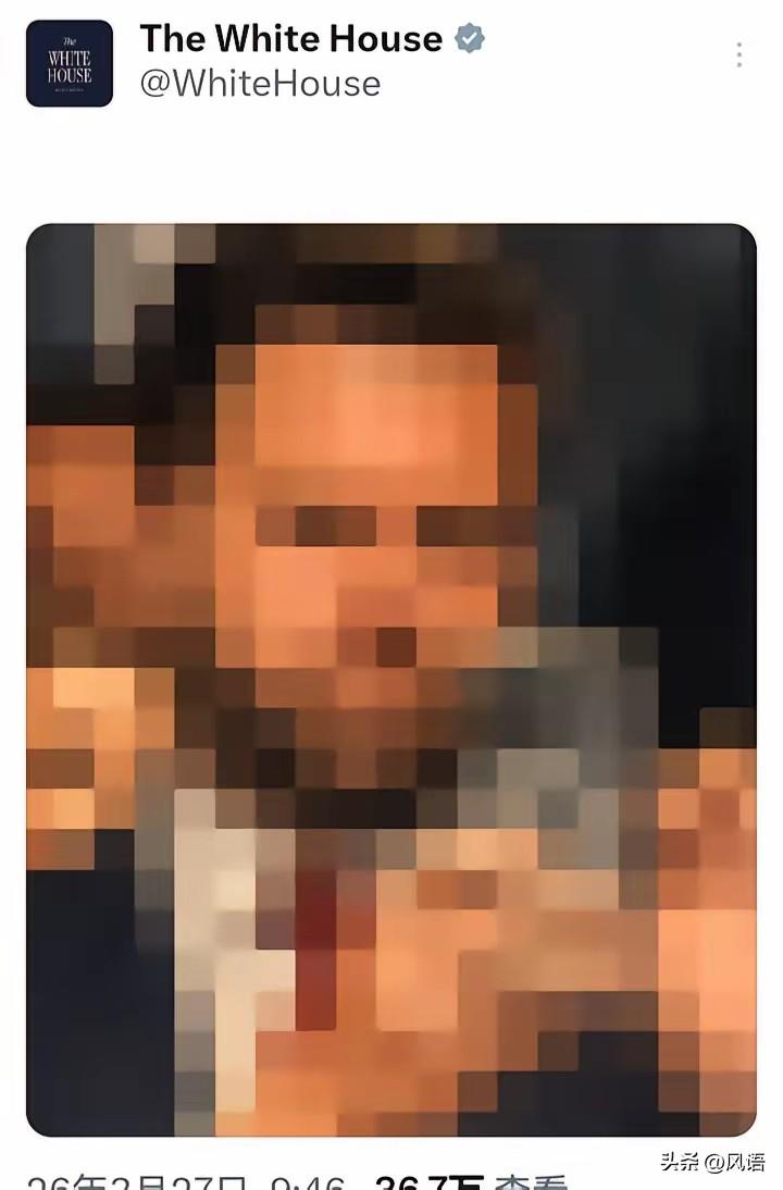 白宫官网最近出现了一张万斯打马赛克照片，不知道这是什么信号。
万斯是当前美国在中