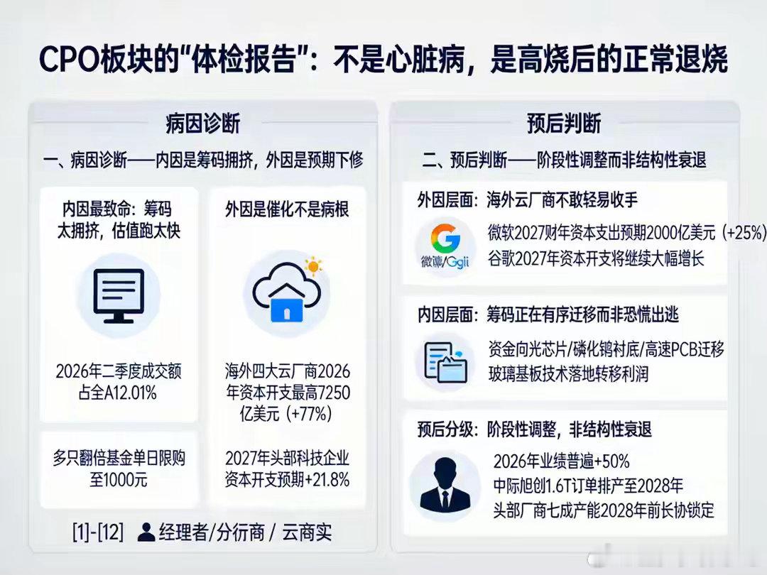CPO板块回调近10%：算力需求并未收缩，为何反而大跌？CPO板块的“体检报告”
