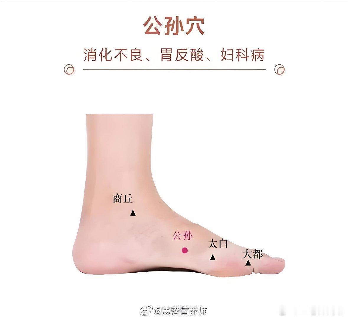比足三里更深入的“源头穴”：它是脾胃的联络官，每天按1分钟，吸收好了，心胸顺了，