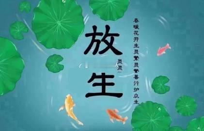 积一分慈心，种一片福田，护生即是护己，放生亦是放己。八月初一放生善行，回向十方，