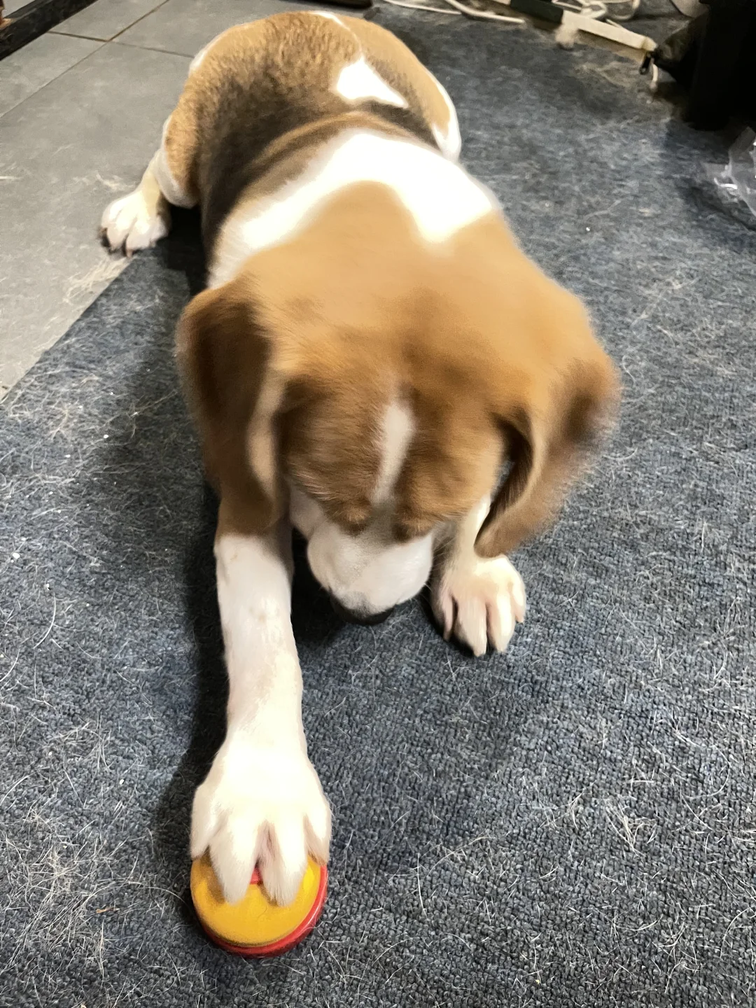 小手跟🛎️再也不分离