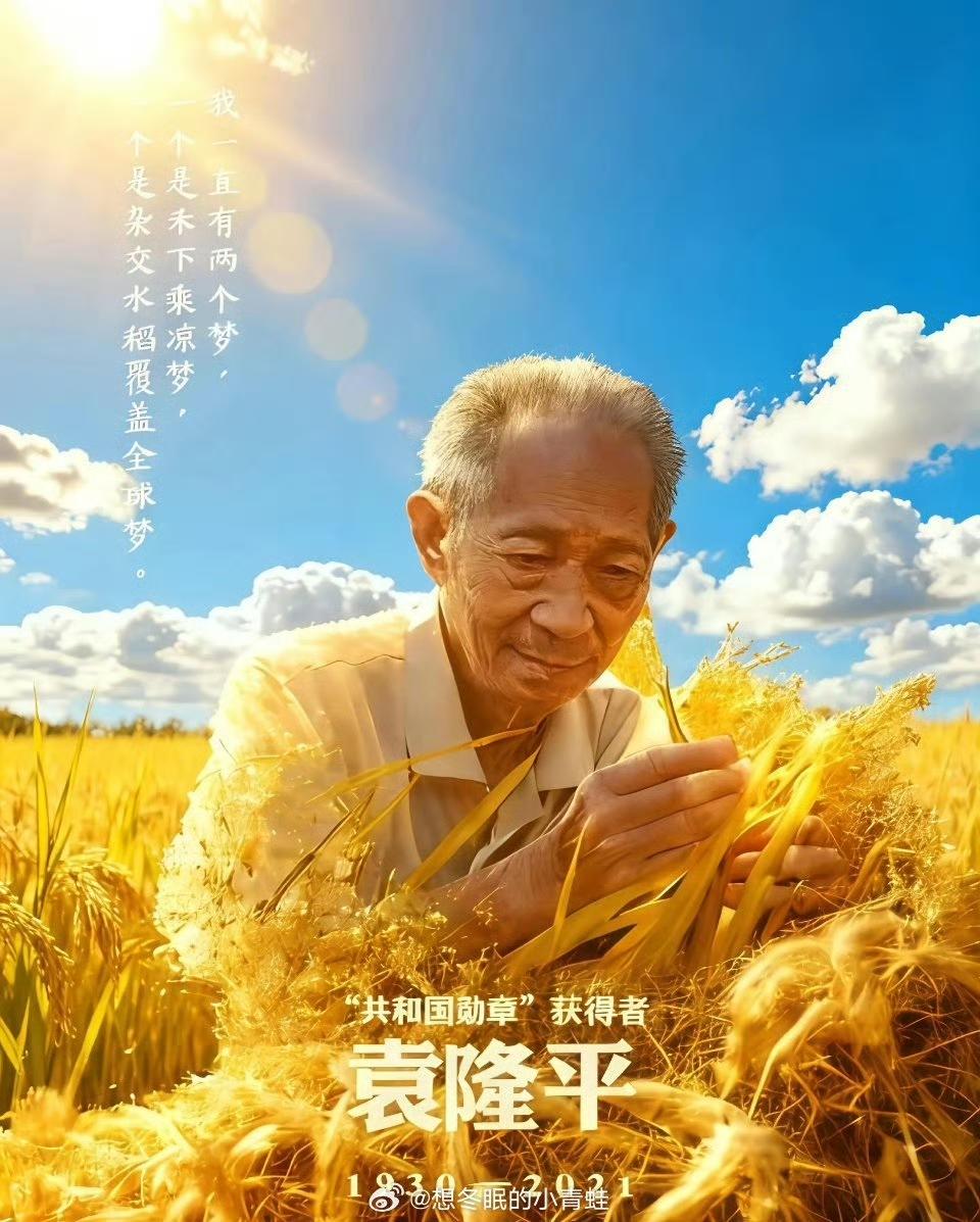 【网红摊事了：200万粉网红诋毁袁隆平水稻育种技术】
    一名全平台粉丝超2