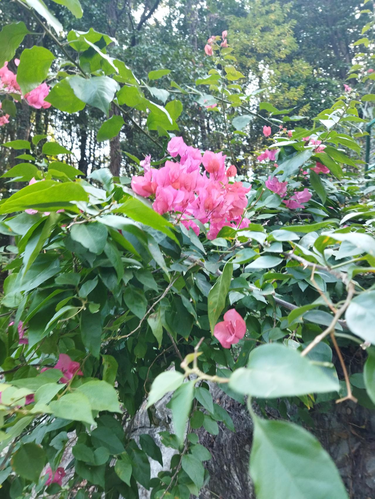 给2026的自己写句话健康快乐！