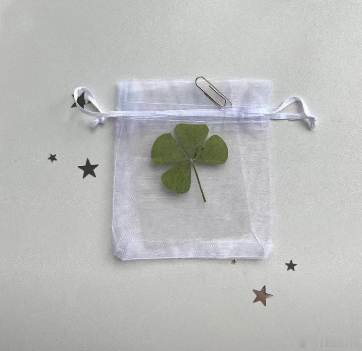 四葉草的花語是₊⁺🍀幸福! ⁺.☘🍀幸運のfour leaves *✩‧₊?