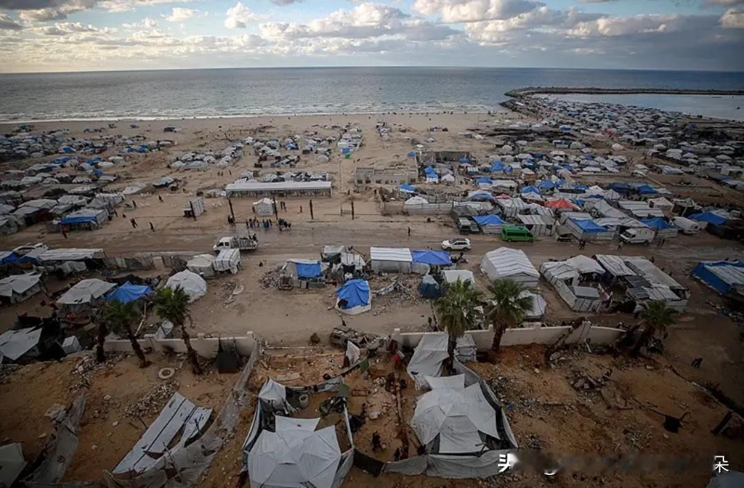 【加沙超24万人死伤 医疗系统崩溃边缘】

据加沙地带卫生部门最新通报，自本轮巴