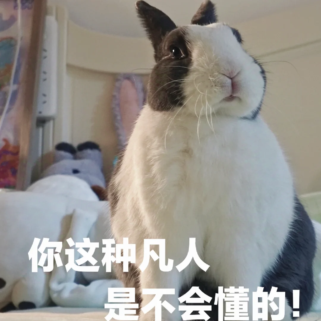 表情包+3