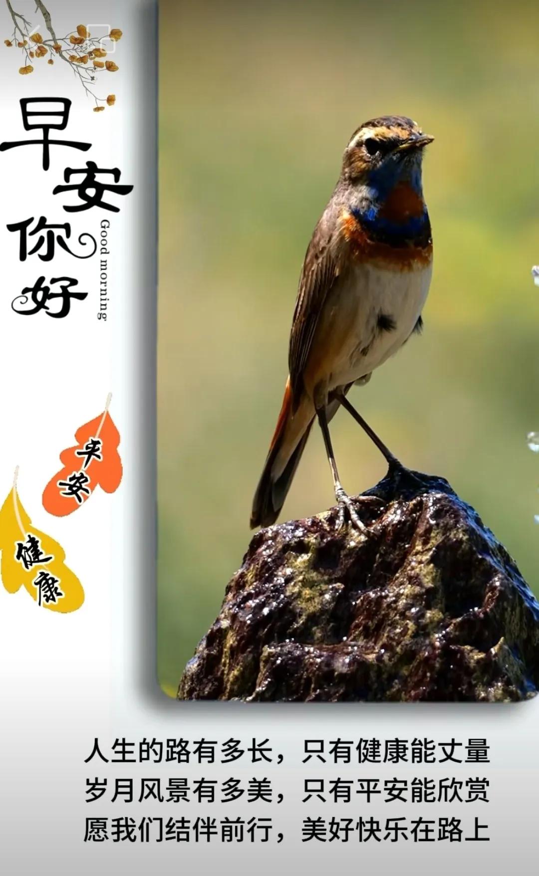 友誼不在距離，
真情總在心裏，
雖然不總相聚，
卻會永遠珍惜。
早上好！[玫瑰]