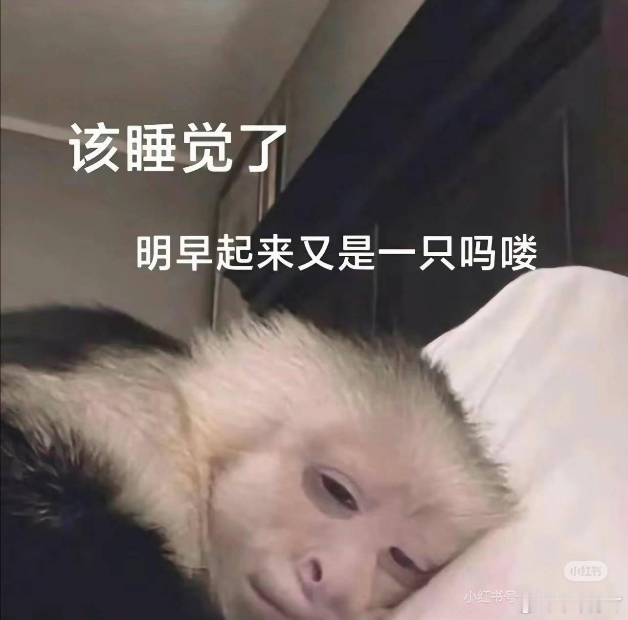 生活总有细碎不如意，别想太多，按时入睡，晚安[月亮][月亮][月亮] ​​​