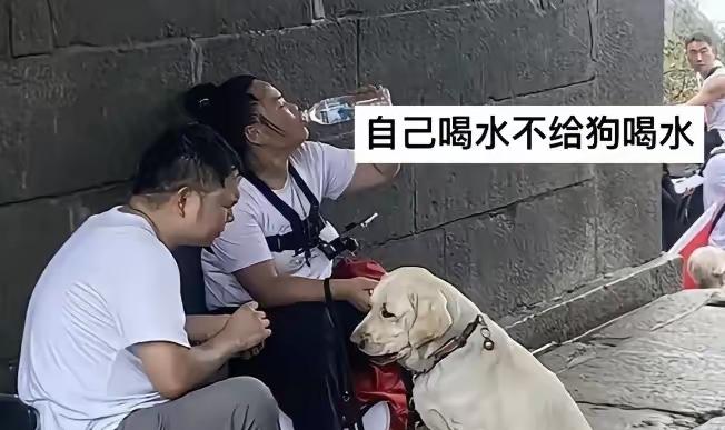 盲人夫妻带导盲犬爬泰山，最后导盲犬被收走了，他俩犯的3个错是真没法原谅！
 
第