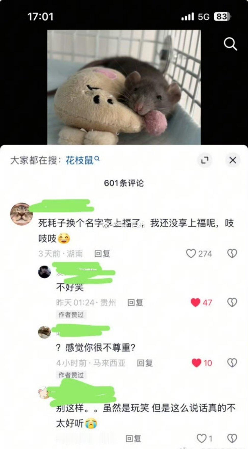 下水道老鼠就这样嫉妒 ​​​