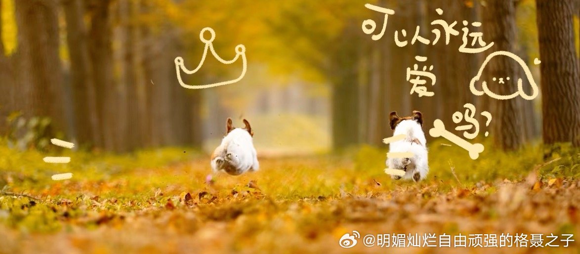 孤独只存在于孤独之中，一旦分担，它就蒸发了。 