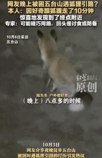 “解释不清了！”男子晚上徒步五台山，结果在半山腰迷路！正好手机也没电了，叫天天不