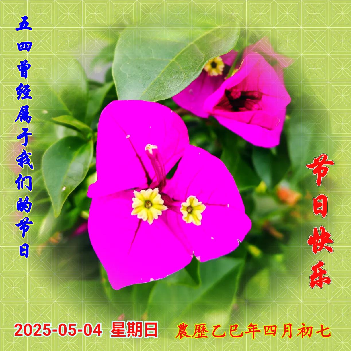 节日快乐！